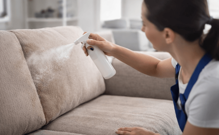 Applying stain treatment to sofa during upholstery cleaning